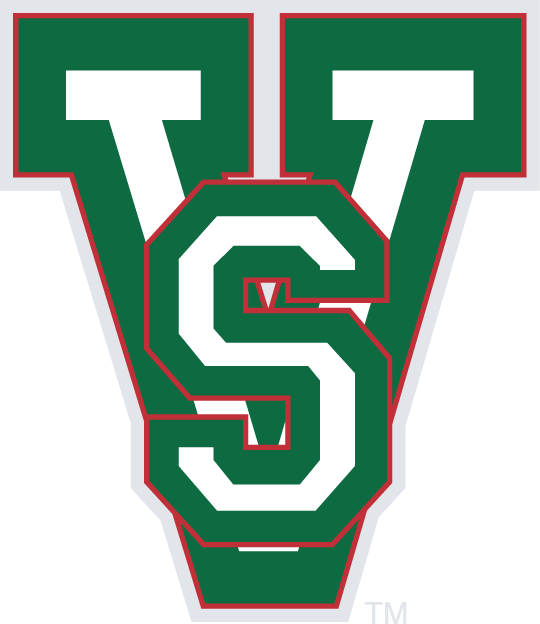 MVSU Delta Devils 1996-Pres Alternate Logo diy iron on heat transfer